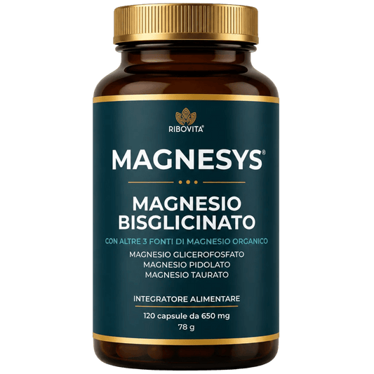MAGNESYS® - RIBOVITA®