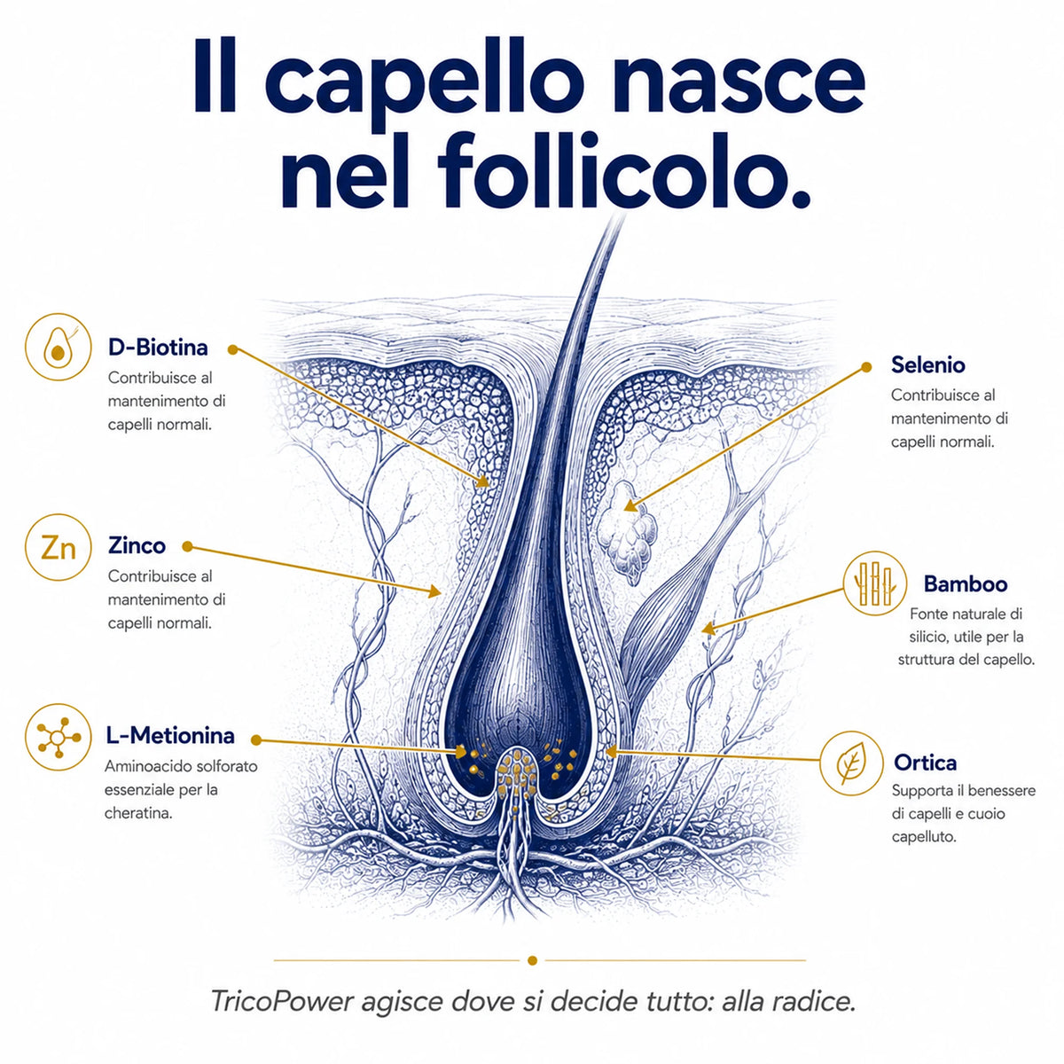 Biotina TricoPower