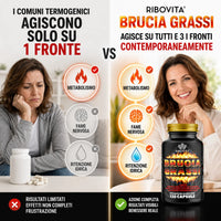confronto tra l'azione dei comuni integratori termogenici e BRUCIA GRASSI Ribovita®