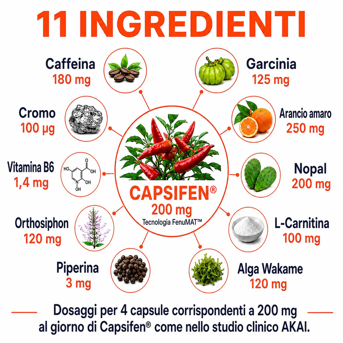 Brucia Grassi termogenico con Capsifen®