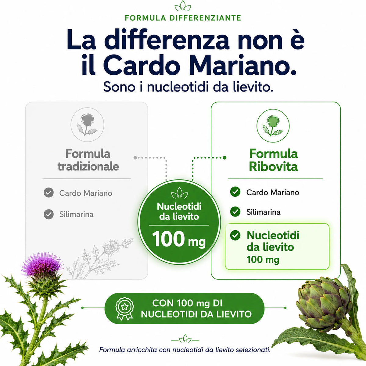 Cardo Mariano Ribovita® - Depurativo con Silimarina
