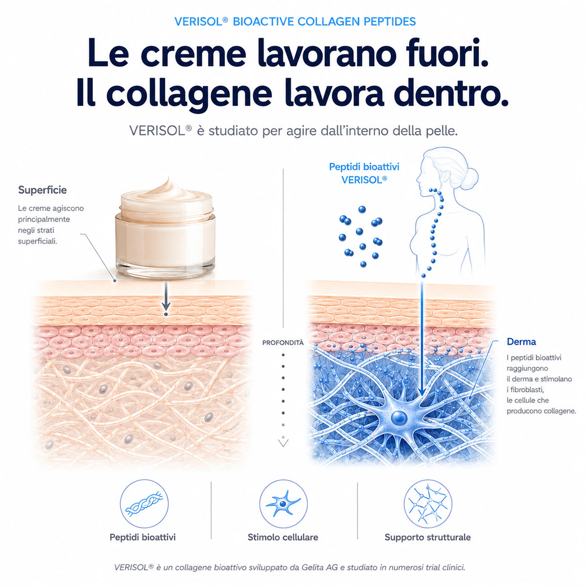 Collagene e Acido Ialuronico con collagene VERISOL®