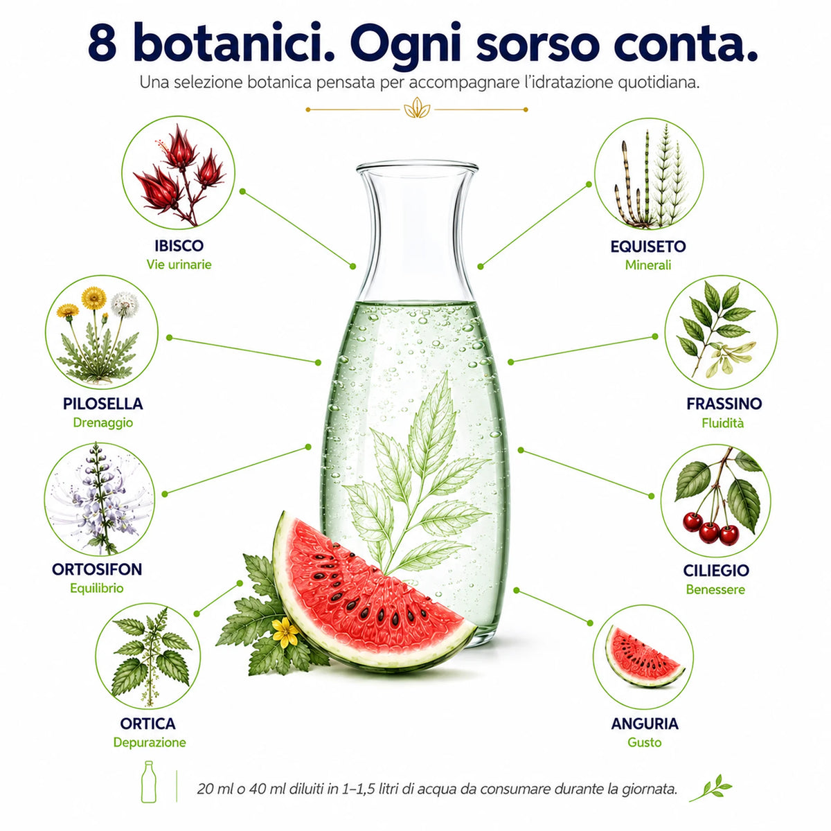 Drenante Detox Ribovita® all'Anguria