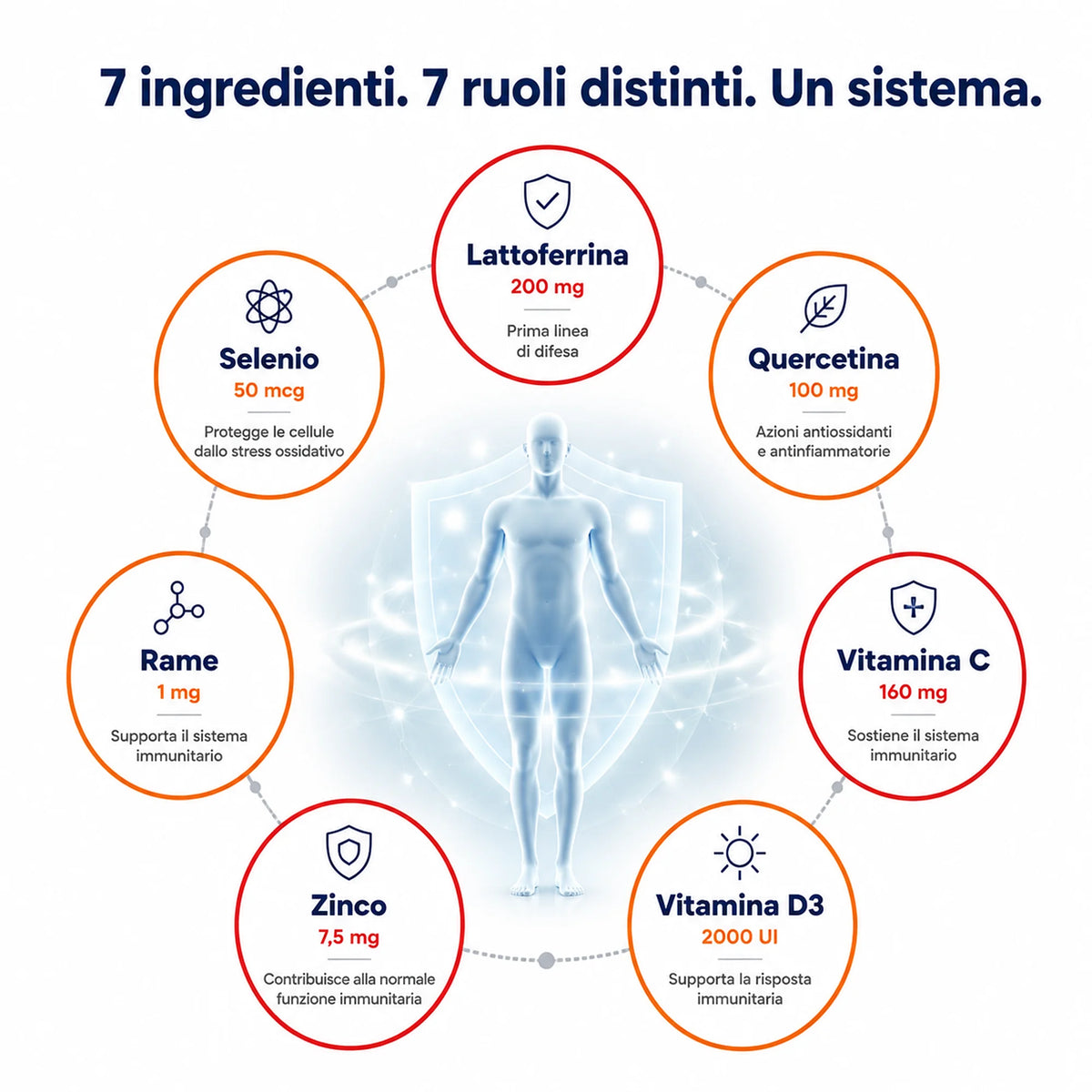 Lattoferrina, Quercetina e Vitamina C Ribovita®