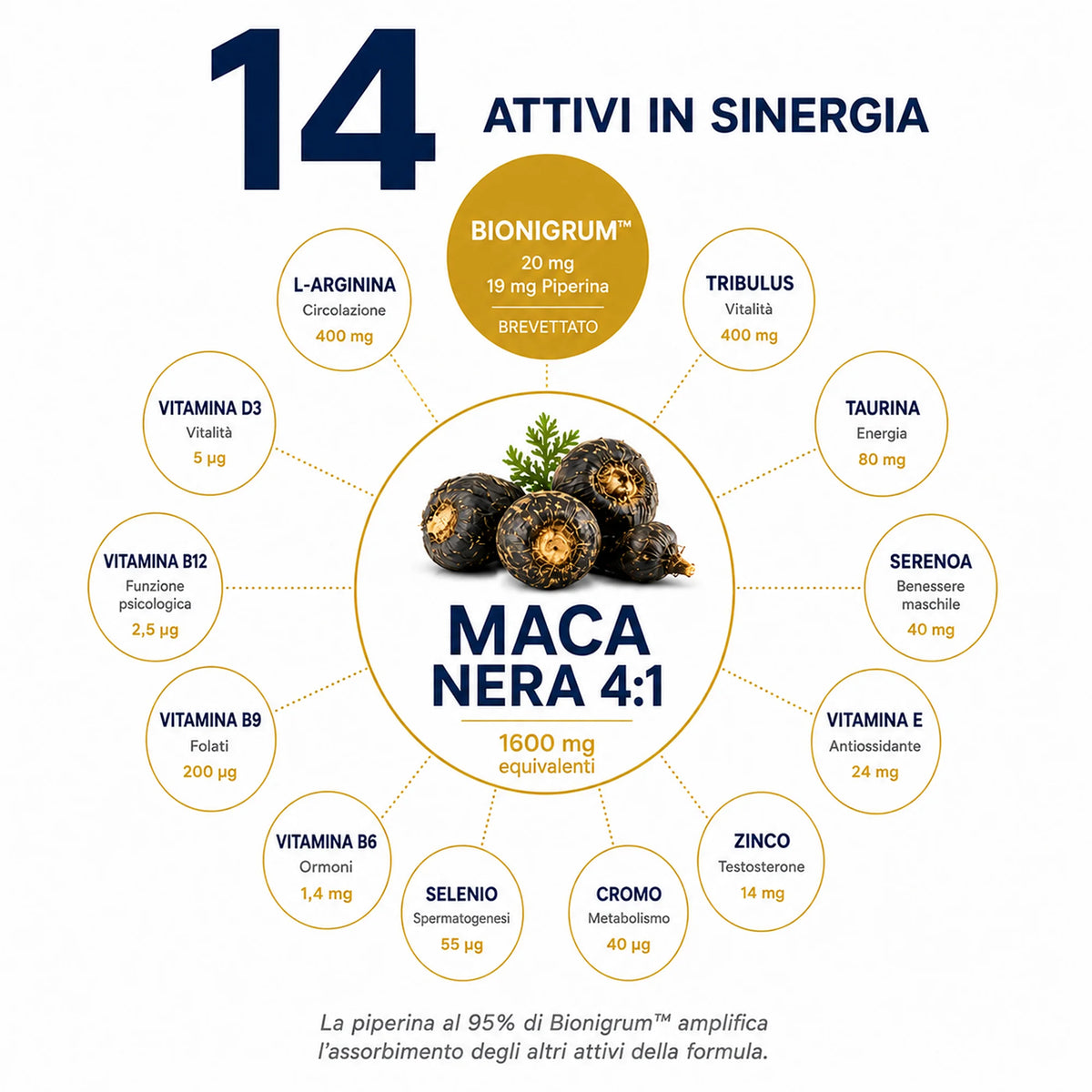 Maca Nera Peruviana Extra Forte Ribovita®