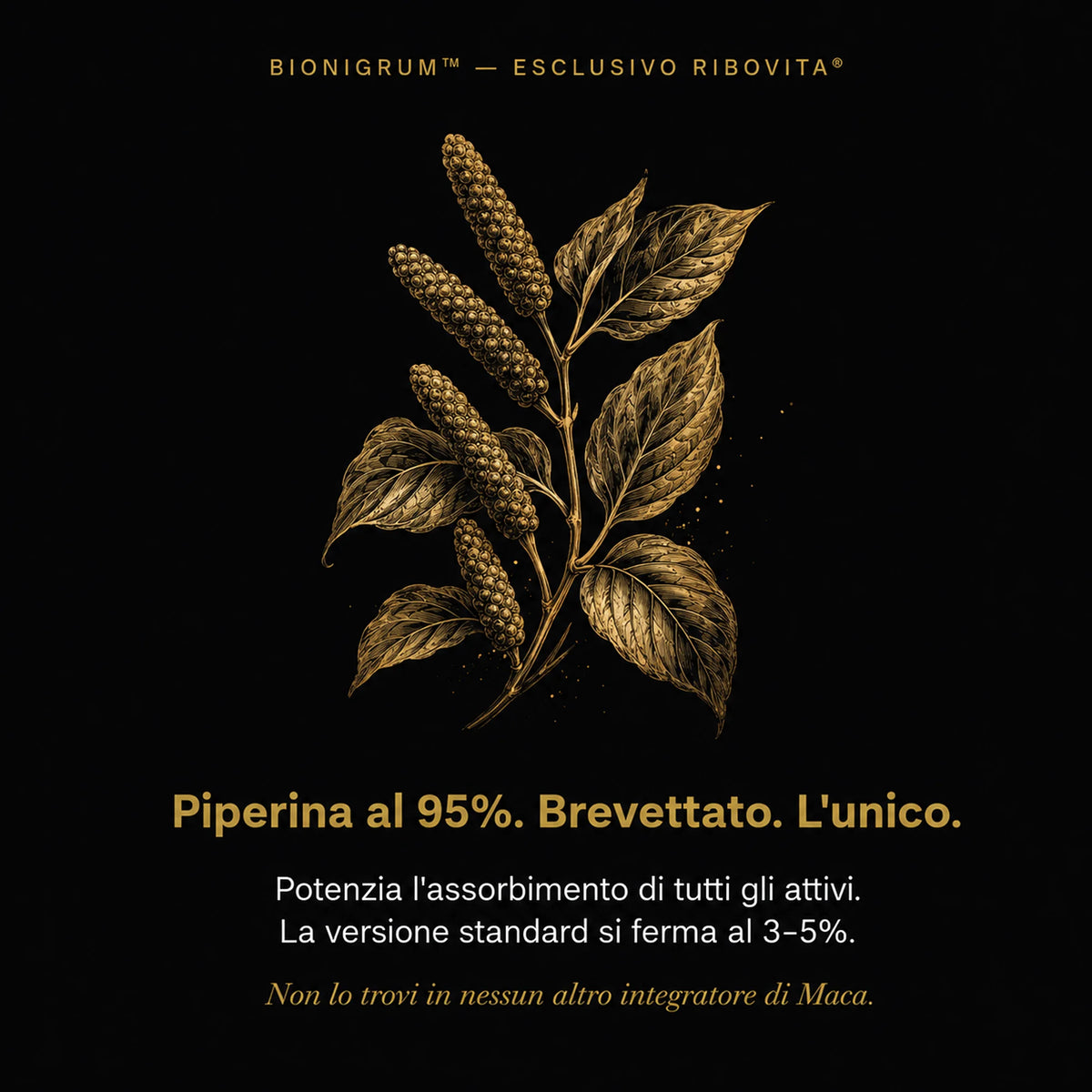Maca Nera Peruviana Extra Forte Ribovita®