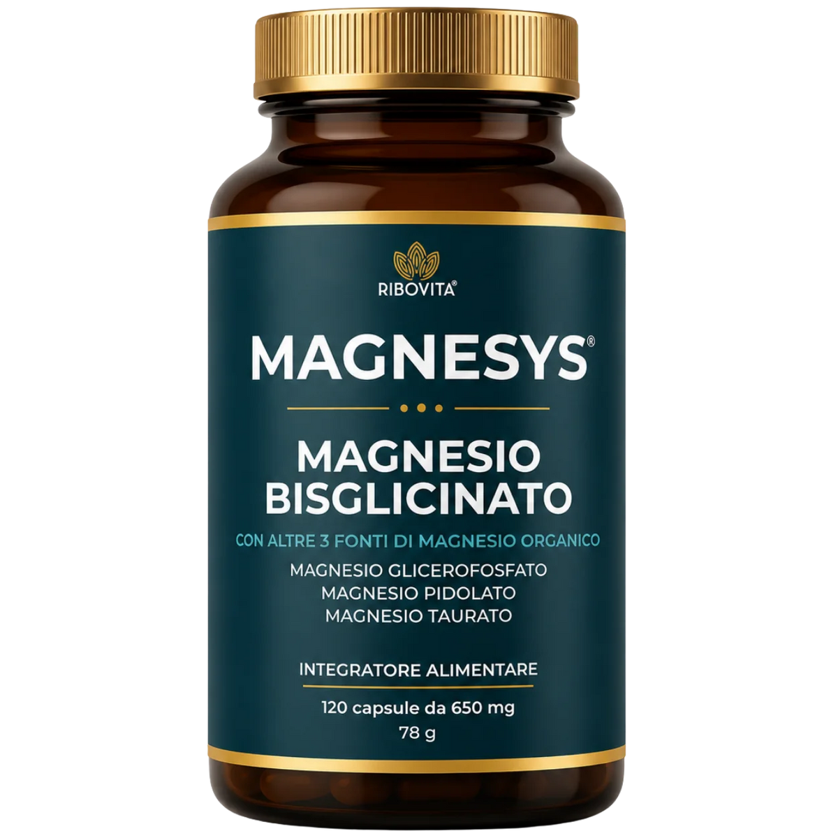 MAGNESYS®