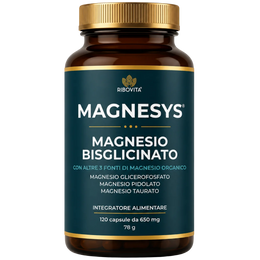 MAGNESYS®