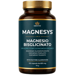 MAGNESYS®
